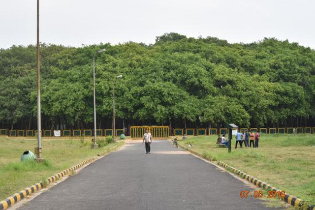Cây đa khổng lồ nhất thế giới tuổi đời 250 năm, tán cây phủ rộng 14.000 m2 - 1 Cây đa khổng lồ nhất thế giới tuổi đời 250 năm, tán cây phủ rộng 14.493 m<sup>2</sup>