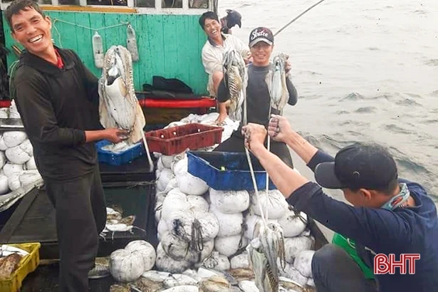 Ngư dân Hà Tĩnh sẵn sàng vươn khơi “đón” vụ cá nam