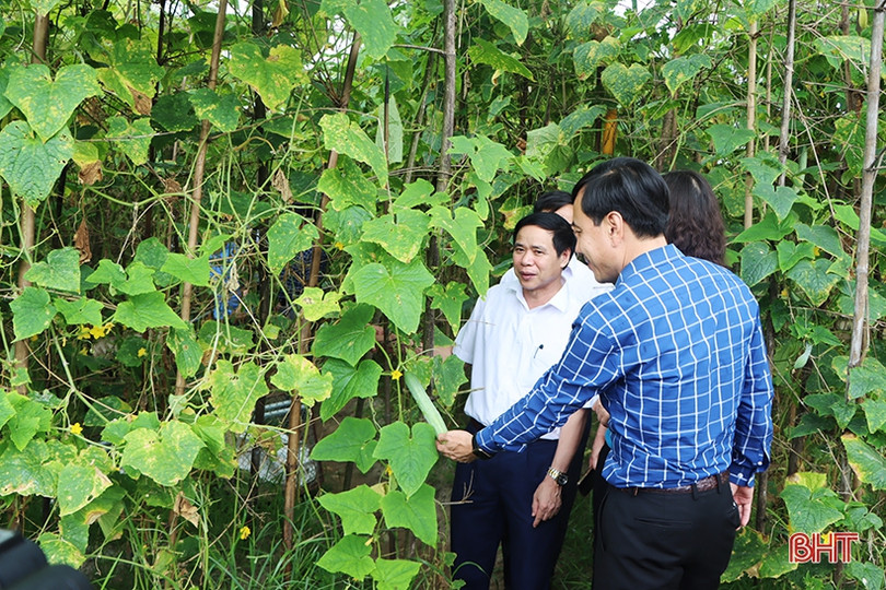 Cẩm Xuyên có nhiều cách làm sáng tạo để xây dựng nông thôn mới bền vững
