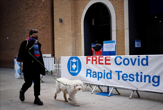 WHO xác nhận khả năng lây nhiễm virus SARS-CoV-2 từ người sang động vật