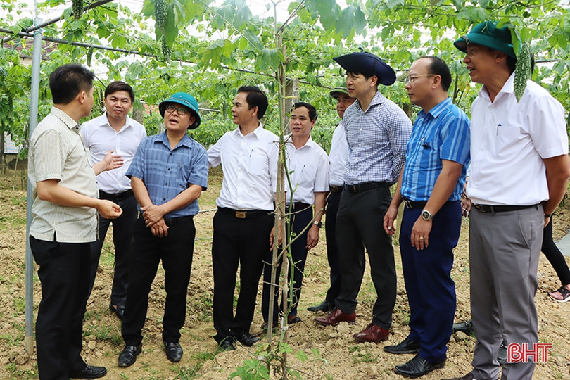 Cẩm Xuyên có nhiều cách làm sáng tạo để xây dựng nông thôn mới bền vững