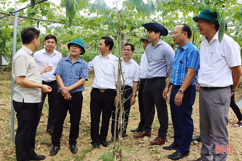 Cẩm Xuyên có nhiều cách làm sáng tạo để xây dựng nông thôn mới bền vững