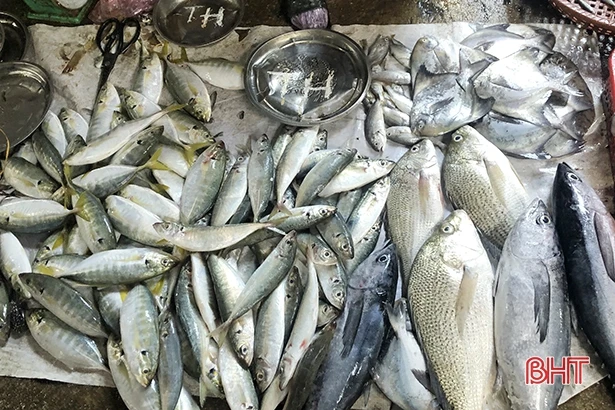 Thị trường thủy hải sản tại Hà Tĩnh đắt khách, giá tăng nhẹ