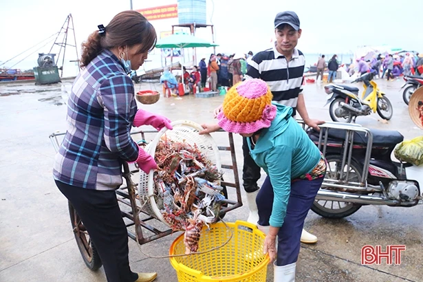Ngư dân Hà Tĩnh sẵn sàng vươn khơi “đón” vụ cá nam