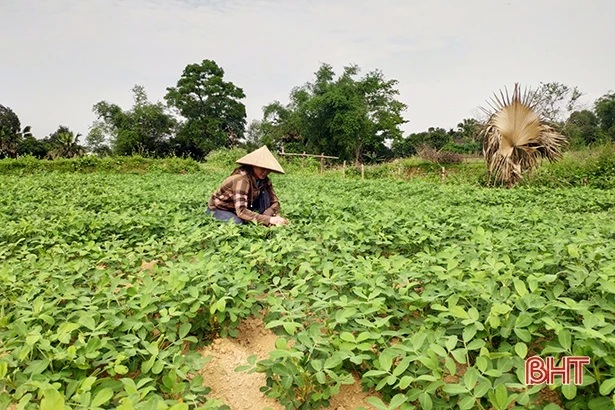 Phụ nữ miền núi Hà Tĩnh sáng tạo gây quỹ hội