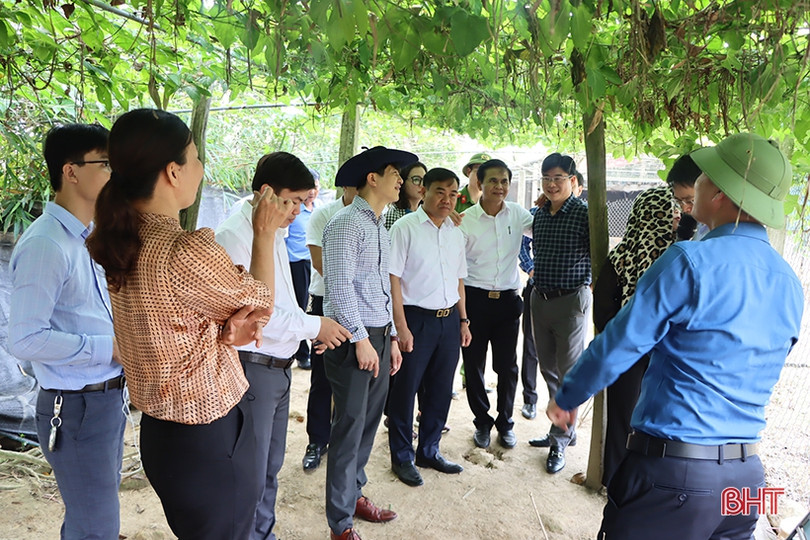 Cẩm Xuyên có nhiều cách làm sáng tạo để xây dựng nông thôn mới bền vững