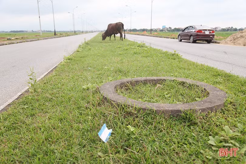 Gặp lại những hình ảnh không đẹp trên tuyến đường 173 tỷ đồng ở TP Hà Tĩnh