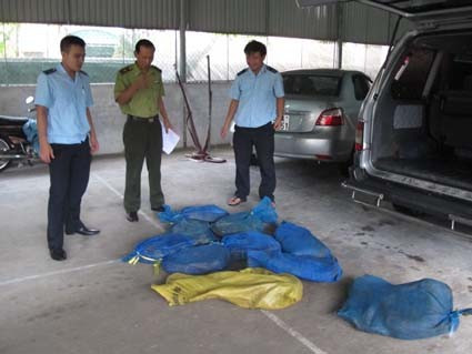 Tang vật 103 kg động vật hoang dã (kỳ đà sống)bị bắt giữ