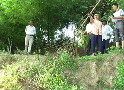 Bà Bùi Thị Sen ở xóm 1, xã Sơn Quang chỉ về mảnh vườn bị sạt lở ăn sâu vào khu vườn hàng chục m