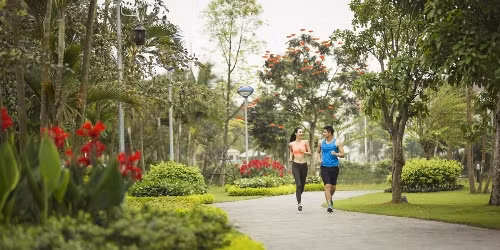Lần đầu tiên, khu đô thị này mở cửa đón khách tới nghỉ dưỡng theo một lịch trình tour 2 ngày một đêm với các trải nghiệm độc đáo. Sau hơn 10 phút lái xe từ trung tâm Hà Nội, du khách sẽ bước vào xứ sở thanh bình với cảnh quan thiên nhiên xanh mát, các biệt thự nghỉ dưỡng sang trọng đổ bóng xuống hàng kênh, hạ tầng dịch vụ tiện ích và các hoạt động giải trí hấp dẫn...
