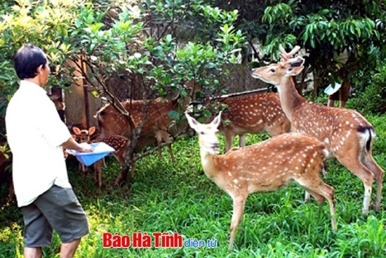 Hương Sơn phải trở thành khu kinh tế động lực phía Tây của tỉnh ảnh 7 Hương Sơn phải trở thành khu kinh tế động lực phía Tây của tỉnh ảnh 7