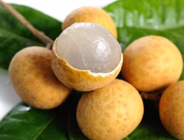 cach phan biet nhan uop hoa chat voi nhan que