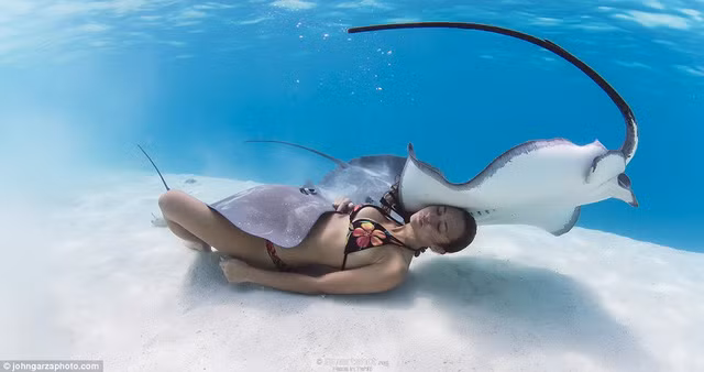 bo anh goi cam ngoan muc cua co gai dai duong