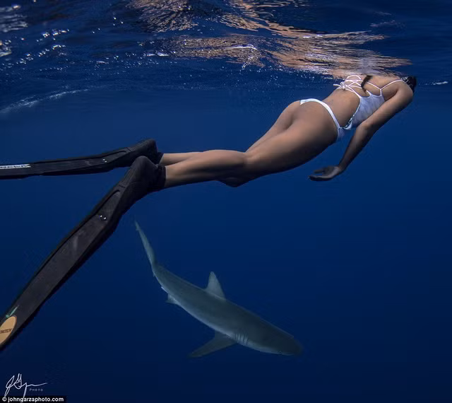 bo anh goi cam ngoan muc cua co gai dai duong