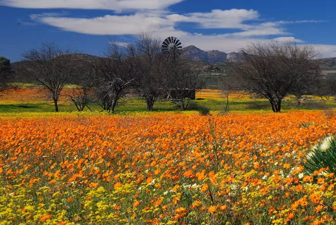 nhung vung dat dep nhu thien duong tren trai dat