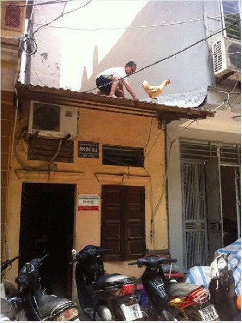 10 anh hai hot nhat facebook trong ngay