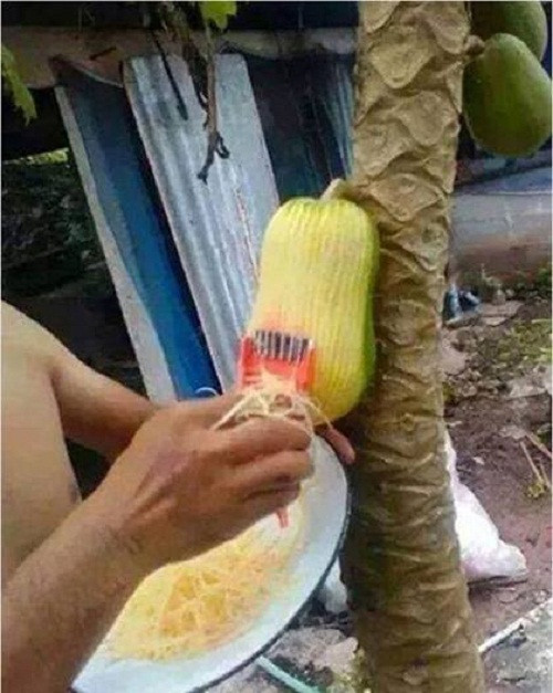 10 anh hai hot nhat facebook trong ngay