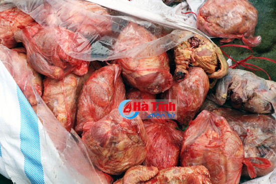 bat giu gan 2 ta thit ga khong giay to kiem dich