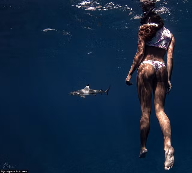 bo anh goi cam ngoan muc cua co gai dai duong