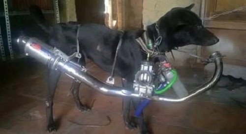 10 anh hai hot nhat facebook trong ngay