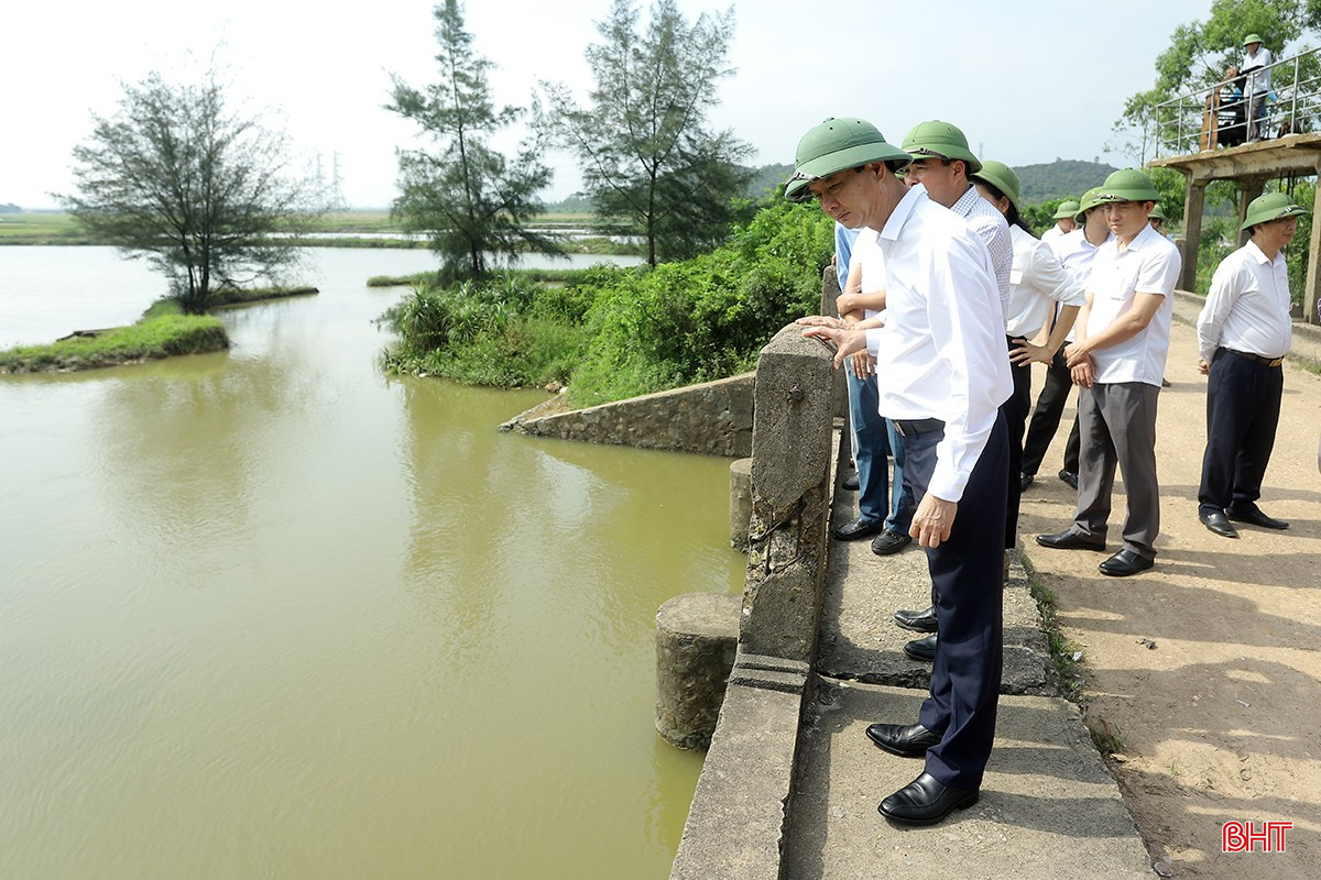 Phó Chủ tịch UBND tỉnh Trần Báu Hà và thành viên đoàn công tác kiểm tra cống Tây Yên ở phường Kỳ Thịnh. bqbht_br_kiem-tra-pctt-tkcn-9.jpg