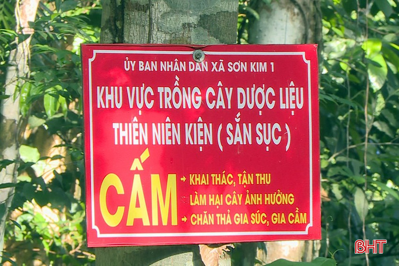 bqbht_br_thien-nien-kien-4.jpg