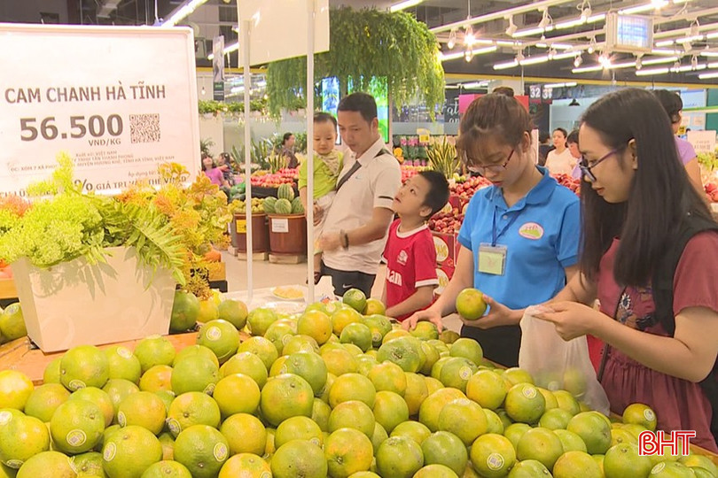 Cam Hà Tĩnh lên kệ siêu thị bqbht_br_cam-6.jpg