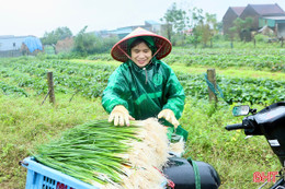 Kiệu được giá, nông dân Kỳ Đồng phấn khởi chờ vụ tết