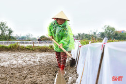 Nhà nông bám đồng sản xuất vụ xuân 