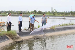 Người nuôi trồng thủy sản chủ động ứng phó mùa mưa bão