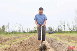 Nông dân Hà Tĩnh tái thiết vụ đông sau mưa lũ