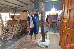 “Siêu phẩm” trầm tốc bông ở Phúc Trạch được trả giá hơn 600 triệu đồng 