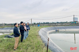 Tạo nền tảng xây dựng nền nông nghiệp bền vững