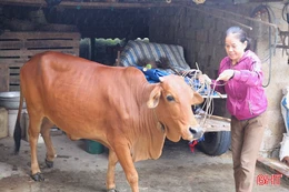 Kịp thời trao "cần câu" cho nhiều hoàn cảnh khó khăn ở Đức Thọ