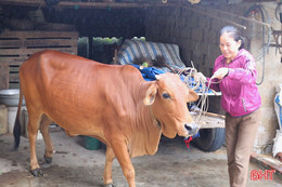 Kịp thời trao "cần câu" cho nhiều hoàn cảnh khó khăn ở Đức Thọ