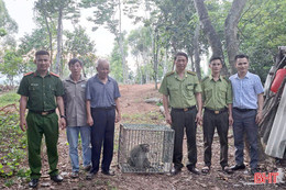 Bàn giao cá thể khỉ vàng cho Vườn Quốc gia Vũ Quang