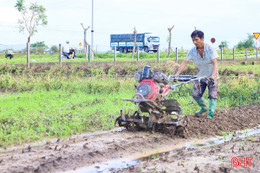 Tranh thủ nắng ráo, nông dân tập trung khôi phục sản xuất