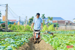 Nông dân Thạch Hà rộn ràng xuống đồng chăm rau, củ, hoa phục vụ tết