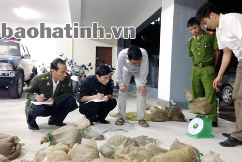 Toàn bộ số hàng thu giữ được chuyển giao Chi cục Kiểm lâm tỉnh xử lý theo quy định của pháp luật.