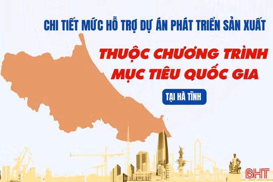[Infographic] Chi tiết mức hỗ trợ dự án phát triển sản xuất thuộc Chương trình mục tiêu quốc gia tại Hà Tĩnh