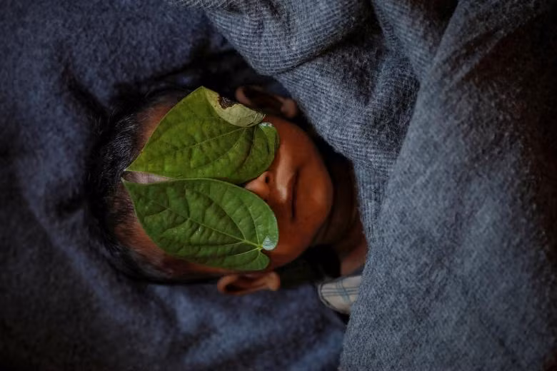 loat anh ve tham canh cua nguoi di cu rohingya dat giai pulitzer