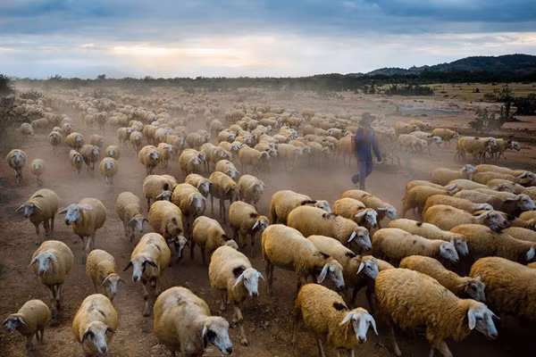 nhiep anh gia ha tinh giu ky luc tren tap chi danh tieng national geographic