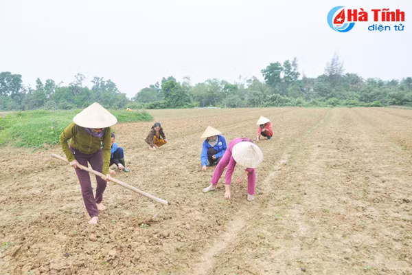thoi tiet lam kho nguoi trong duoc lieu ha tinh