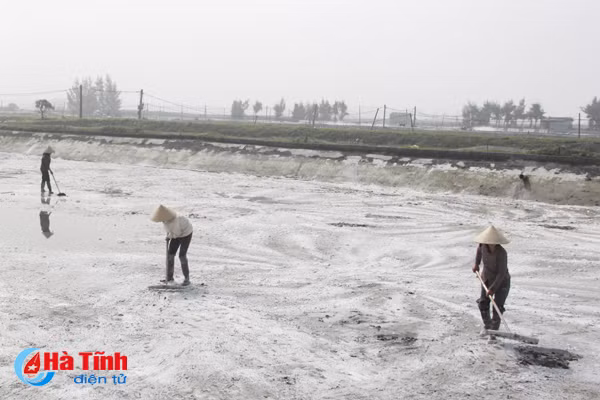 nuoi tom cong nghe cao o nghi xuan moi hec ta cho ra 1 ty