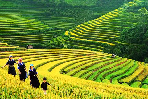 tour ngan ngay len ngoi dip nghi gio to hung vuong va 30 4