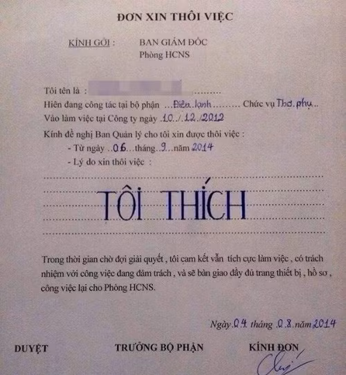 nhung la don xin nghi viec chat nhat viet nam