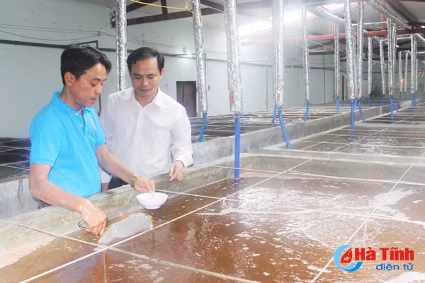 nuoi tom cong nghe cao o nghi xuan moi hec ta cho ra 1 ty