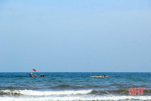 Xác cá voi “khủng” dạt vào bờ biển Hà Tĩnh