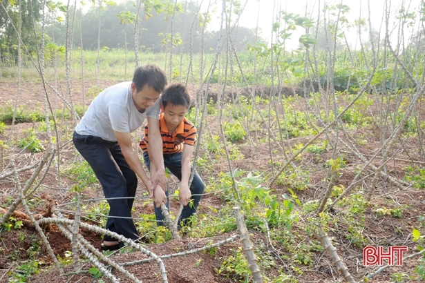 Bố đột ngột qua đời, người mẹ mù biết lấy gì nuôi 3 con thơ