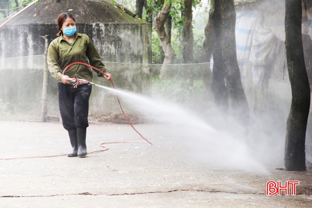 Hà Tĩnh: Gần 250.000 liều vắc-xin cúm A/H5N1 phòng bệnh cho gia cầm trước định kỳ